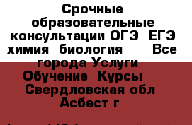 Срочные образовательные консультации ОГЭ, ЕГЭ химия, биология!!! - Все города Услуги » Обучение. Курсы   . Свердловская обл.,Асбест г.